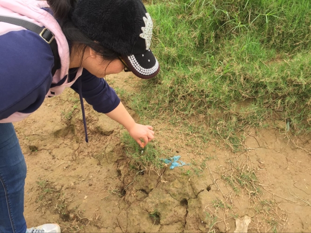 bifa·必发(中国集团)唯一官方网站