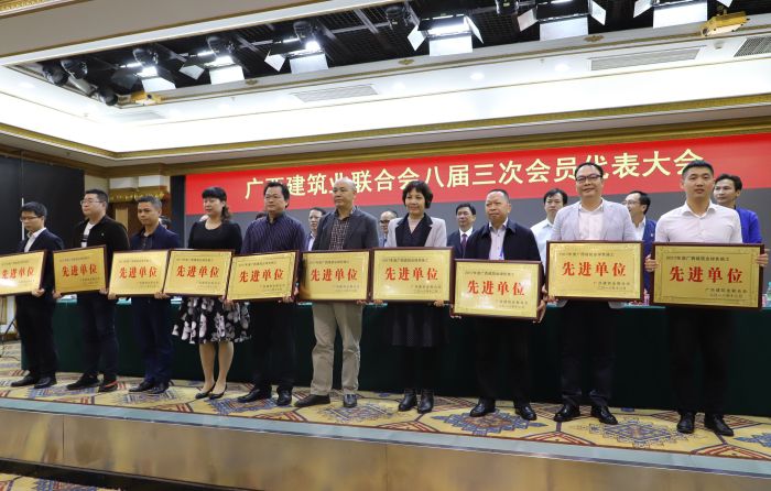 公司副总司理周兴耀代表公司上台领取牌匾。。。。。李立云 摄.jpg