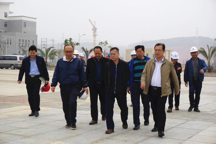 5.吴锡熹一行在项目完工区举行实地观察。。。。。谢微旋 摄700.jpg