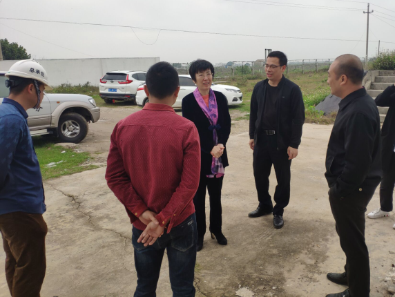 11辛红梅视察项目。。。。。梁荣程 摄700.png