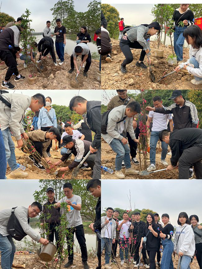 植树现场。。。。；；；；；；；；畦磋 摄（修图）.jpg